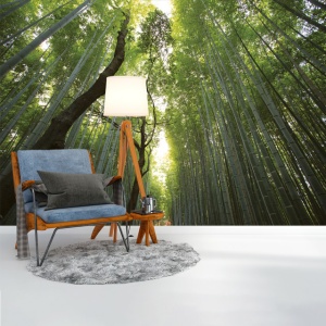 Foto tapet Tall trees