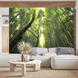 Foto tapet Tall trees - Img 3