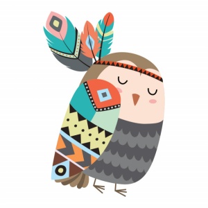 Sticker Copii - Indie owl - Img 2