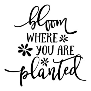 Sticker De Perete Bloom Where You Are Planted - Img 2