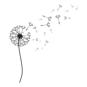 Sticker De Perete Dandelion Floral - Img 4