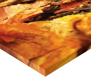 Tablou Canvas - Castana - Img 2