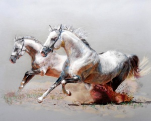 Tablou Canvas Efect Pictura - Cai albi alergand