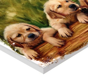 Tablou Canvas Efect Pictura - Catelusi - Img 2
