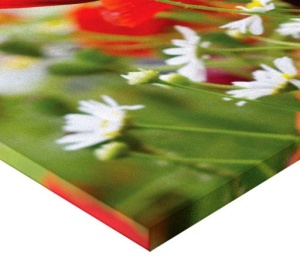 Tablou Canvas - Maci 02 - Img 3