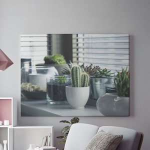 Tablou Canvas Plante De Apartament