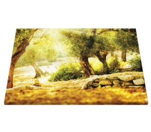 Tablou Canvas - Raze De Soare In Padure - Img 5