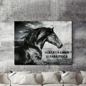 Tablou Motivational - Alearga Liber - Img 2