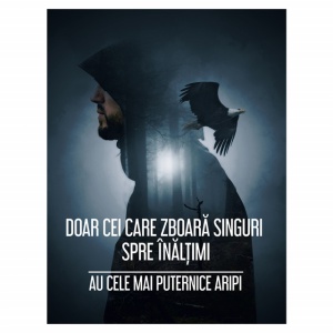 Tablou Motivational - Doar Cei Care Zboara Singuri - Img 3