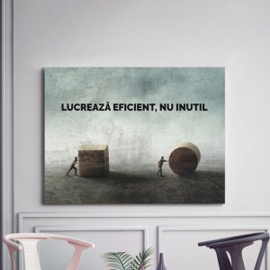 Tablou Motivational - Lucreaza Eficient - Img 2