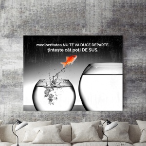 Tablou Motivational - Mediocritatea Nu Te Va Duce Departe - Img 2