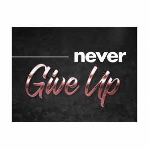 Tablou Motivational - Never give up (bronze) - Img 2