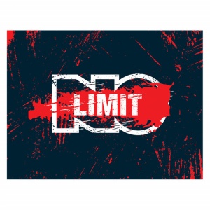 Tablou Motivational - No Limit - Img 4