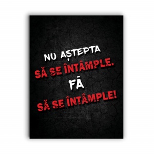 Tablou Motivational - Nu Astepta Sa Se Intample - Img 4