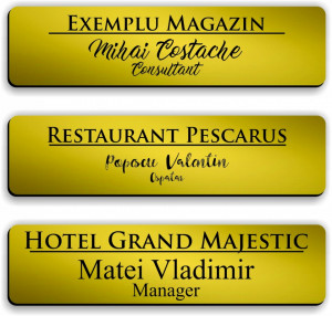 Ecuson personalizat gravat cu nume si/sau logo 8x2cm, auriu - Img 7