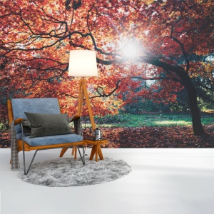 Foto tapet Autumn tree - Img 3