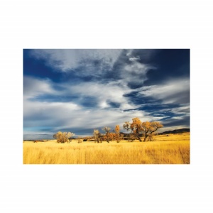 Foto tapet Grassland - Img 3