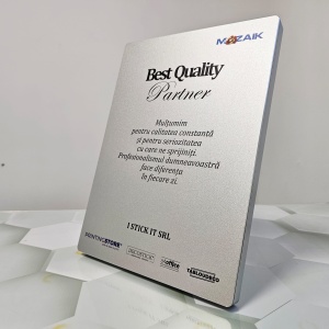 Plachetă Argintie Personalizată cu Text Corporate