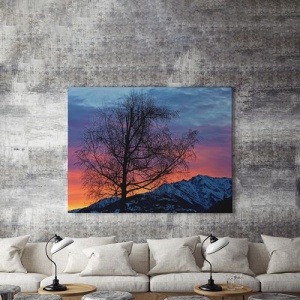 Tablou Canvas Copac Singuratic La Asfintit