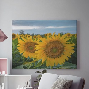 Tablou Canvas Doua Surori