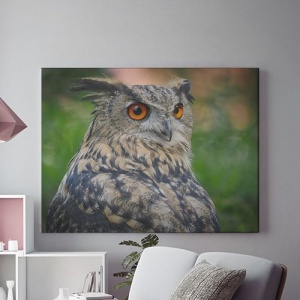 Tablou Canvas Grey Owl
