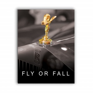 Tablou Motivational - Fly Or Fall - Img 3