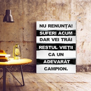 Tablou Motivational - Nu Renunta Acum