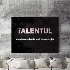 Tablou Motivational - Talentul Nu Valoreaza Foarte Mult - Img 2