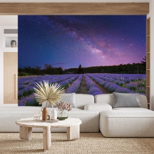 Foto tapet Lavender under the starry sky
