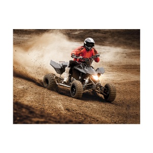 Tablou ATV dust - Img 3