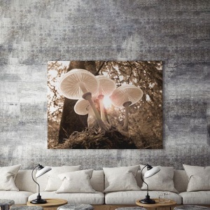 Tablou Canvas Ciuperci In Lumina - Img 4