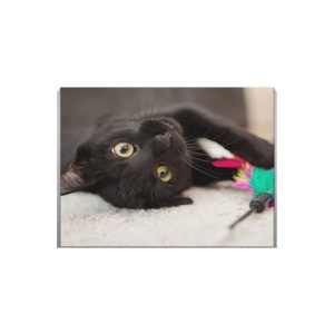 Tablou Canvas Cuteness - Img 2