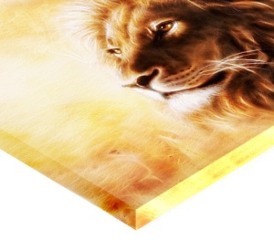 Tablou Canvas Efect Pictura - Leu - Img 2