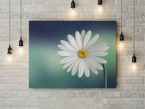 Tablou Canvas Margareta - Img 3