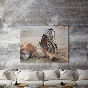 Tablou Canvas On The Wings Of A Butterfly - Img 3