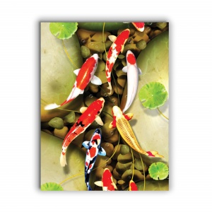 Tablou Canvas Pesti Multicolori - Img 4