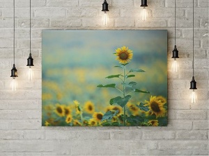Tablou Canvas Rise Up - Img 2
