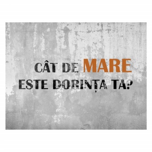 Tablou Motivational - Cat De Mare Este Dorinta Ta - Img 4