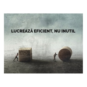 Tablou Motivational - Lucreaza Eficient - Img 4