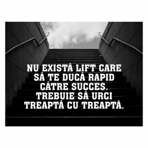 Tablou Motivational - Nu Exista Lift Spre Succes - Img 4
