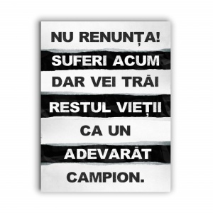 Tablou Motivational - Nu Renunta Acum - Img 3