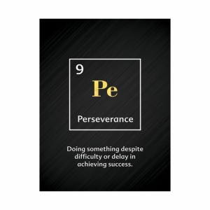 Tablou Motivational - Perseverance (element) - Img 3