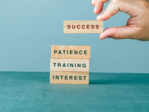 Tablou Motivational - Success (Bricks) - Img 4