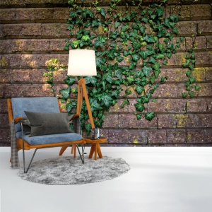 Foto tapet Ivy walls