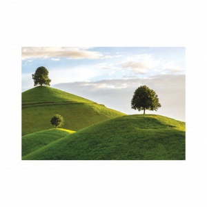 Foto tapet Trees on a hill - Img 2