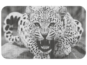 Sticker De Perete Leopard 1 - Img 6