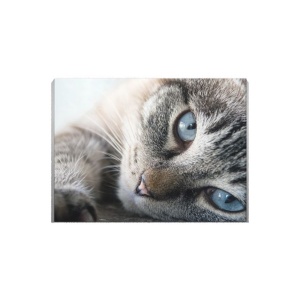 Tablou Canvas Blue Eyes - Img 3