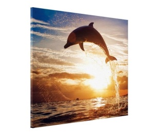 Tablou Canvas - Delfin In Apa - Img 3