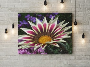 Tablou Canvas Dual Color - Img 3