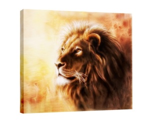 Tablou Canvas Efect Pictura - Leu - Img 3